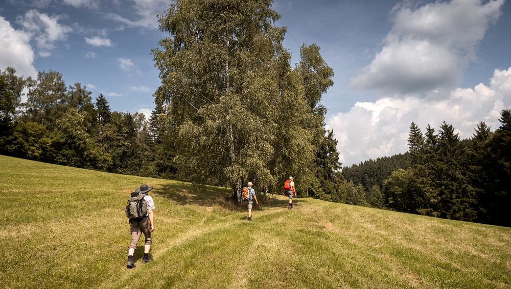 Wilheringer Pilgerweg
